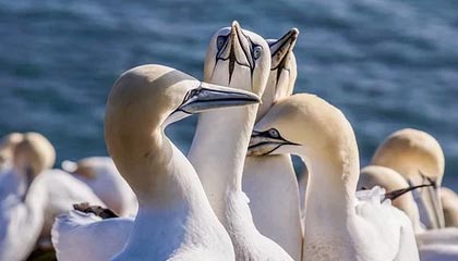 开云·体育官网APP下载-国足热身赛小胜日本队，国足热身赛大胜