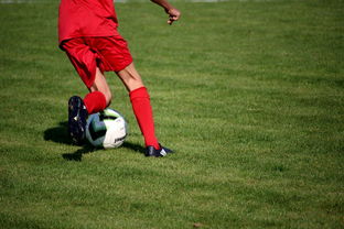 开云·体育官方网站入口-中国足球青训体系引进国际先进训练理念，中国足球青训体系是什么