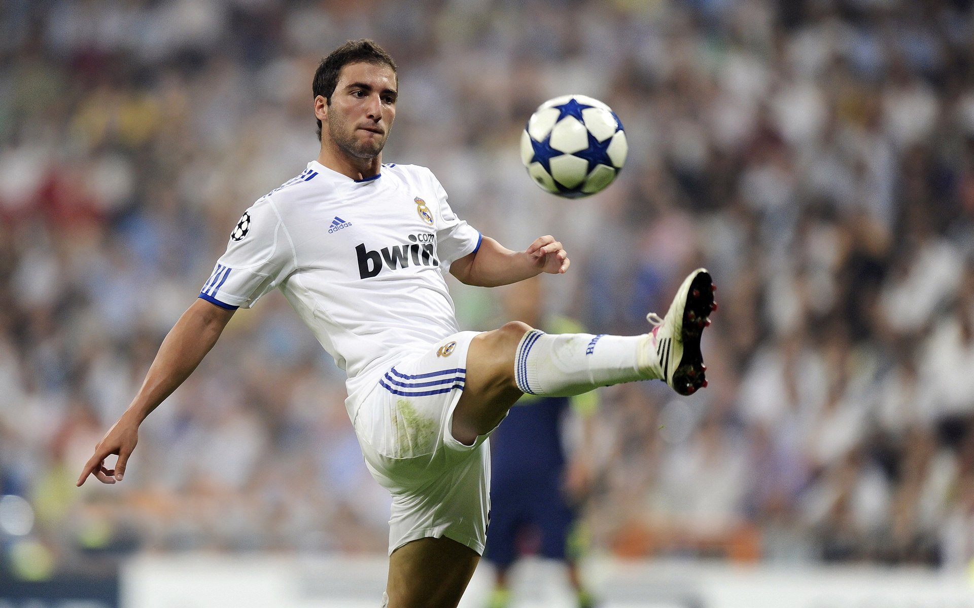 开云官网登录-库策精准转身成决赛关键点